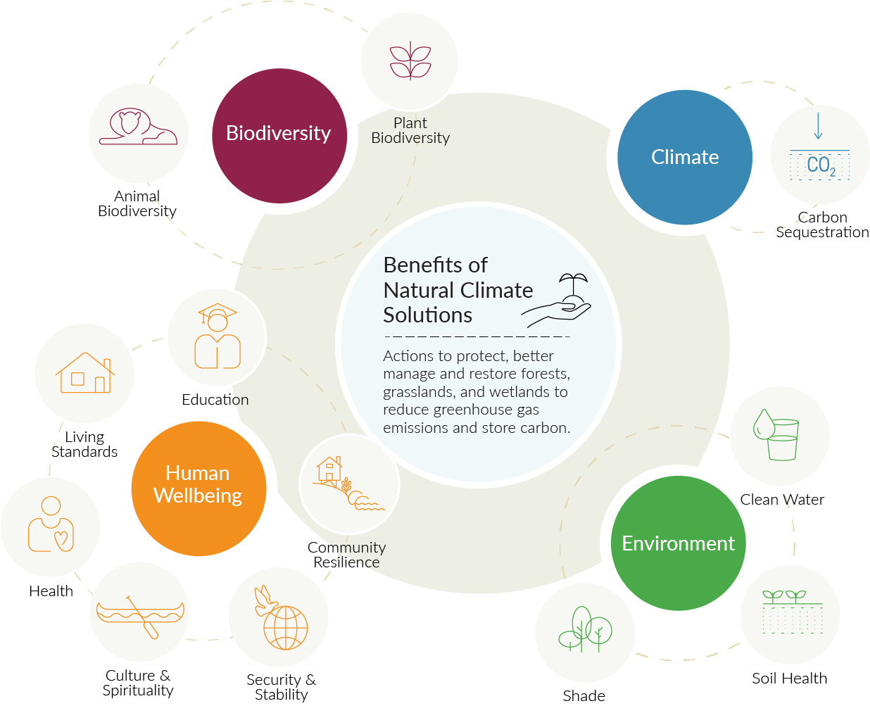 graphic showing groups of benefits provided by NCS.