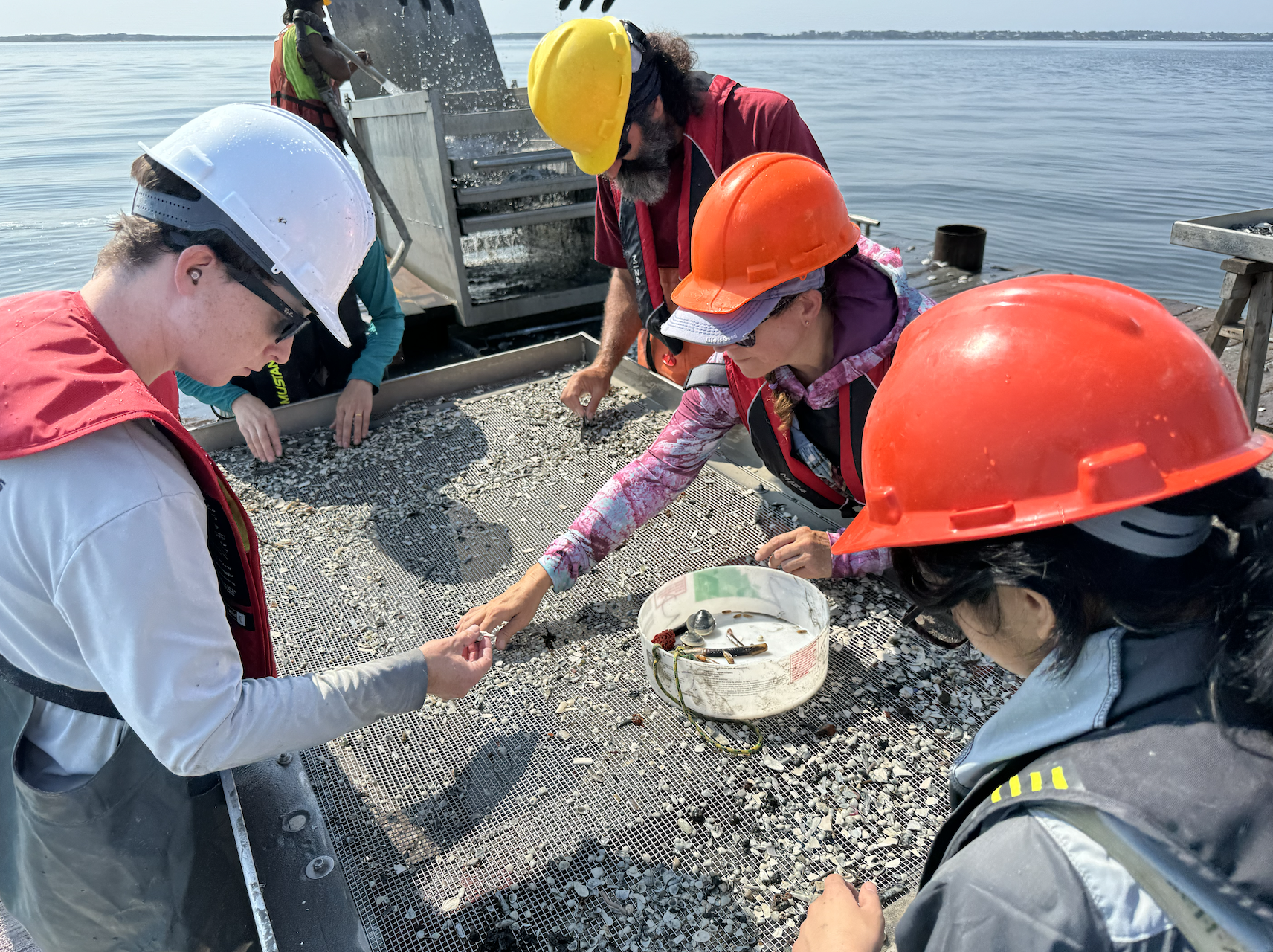 Five scientists in field gear working to examine clams.